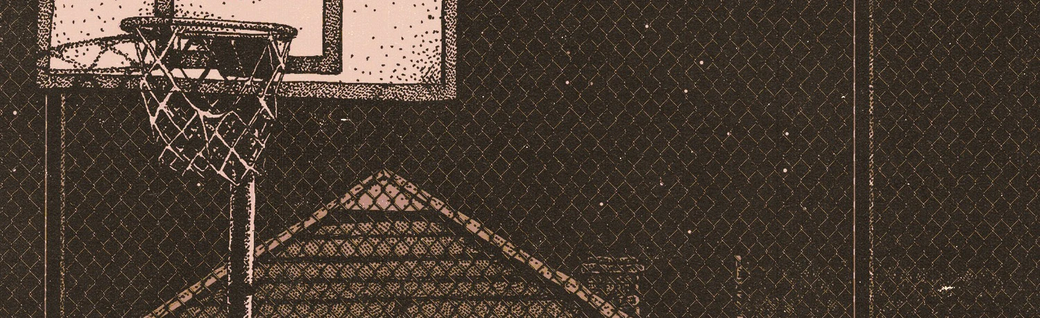 Постер Пекинский Велосипед, Побег, Дорогой Дневник в Москве