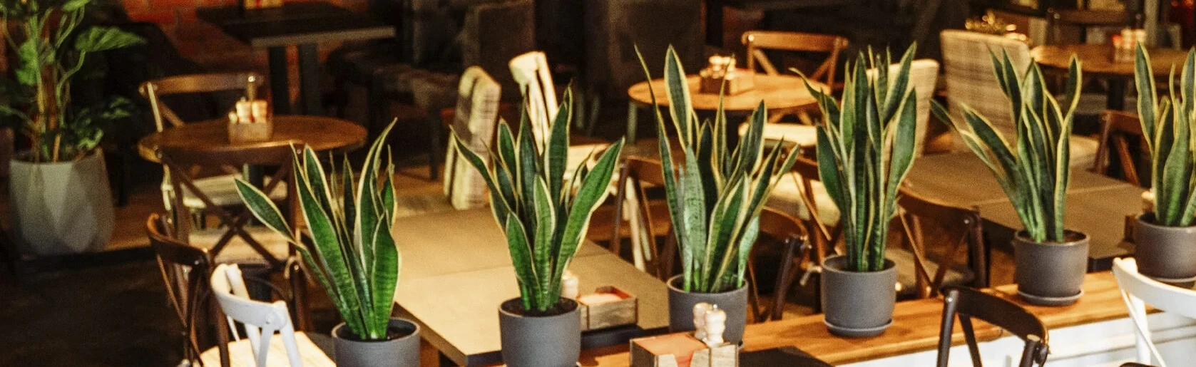 Постер Fix Kitchen