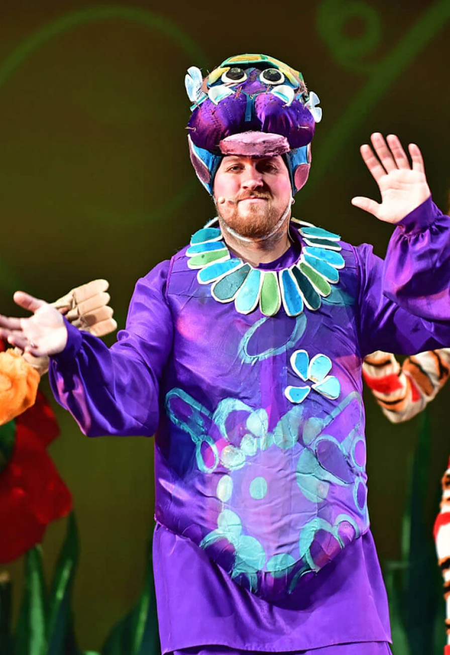 Постер Муха-Цокотуха и её друзья в Москве