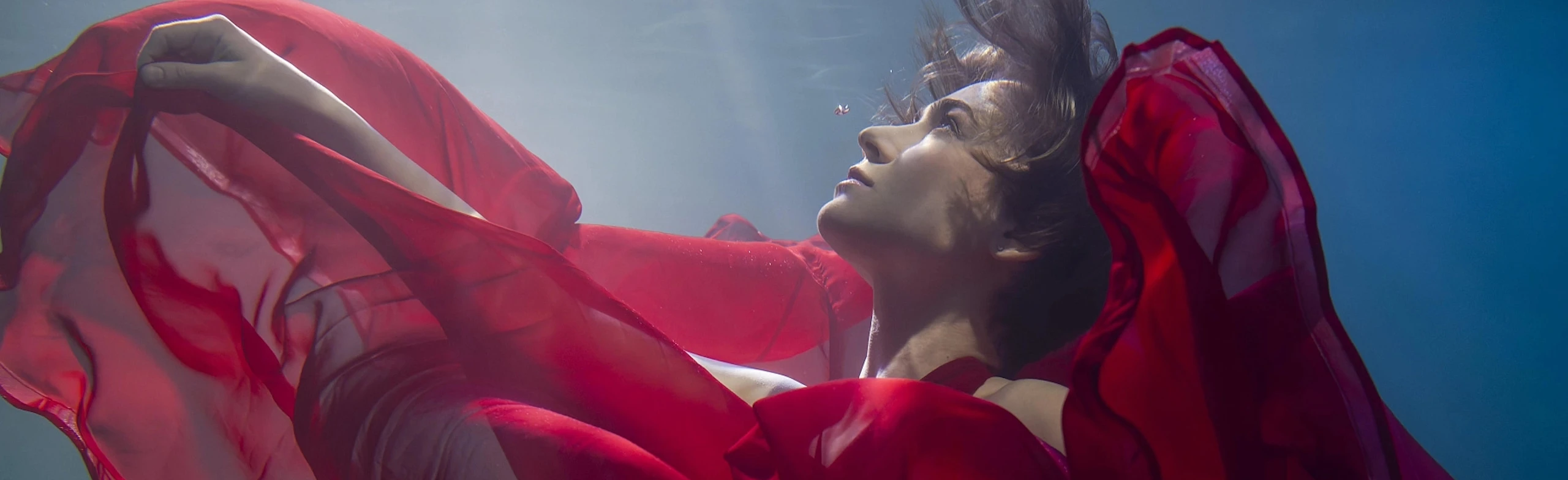 Постер Анна Цыбулева, фортепиано в Москве