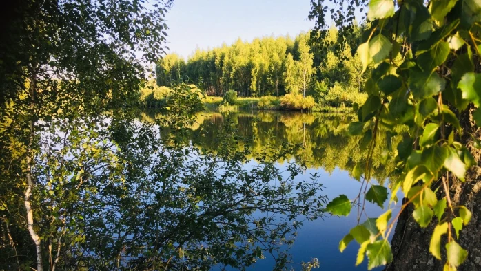 Постер Банный спас