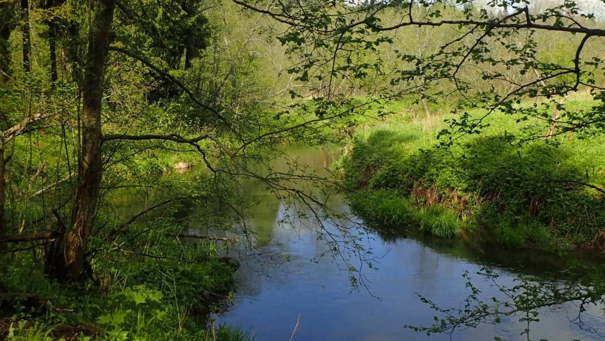 Постер Река Волгуша