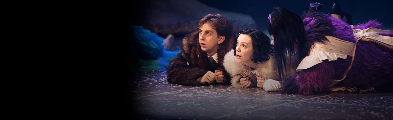 Постер Тайна старого шкафа