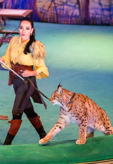 Постер История хрустальной туфельки в Москве