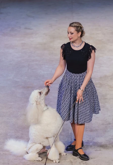 Постер Дорога - длиною в век в Москве