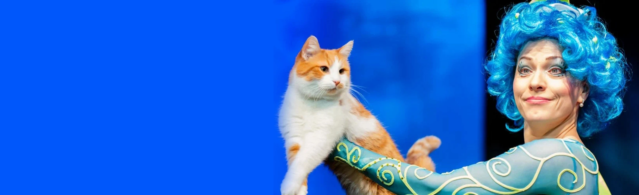 Постер Коты спасают мир в Москве