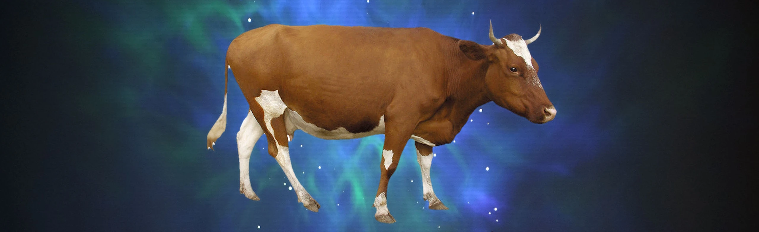 Постер Чудо или как корова спасла театр