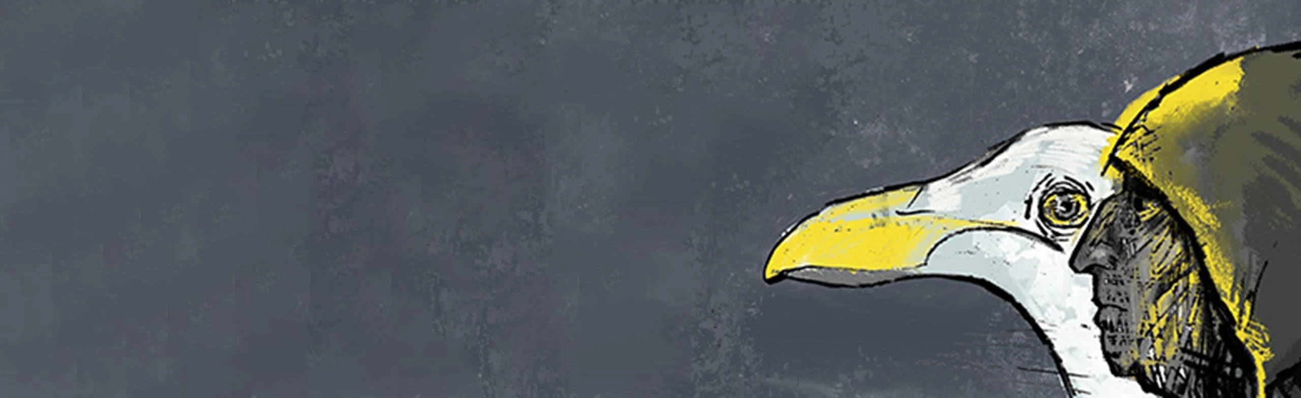 Постер Чайка по имени...