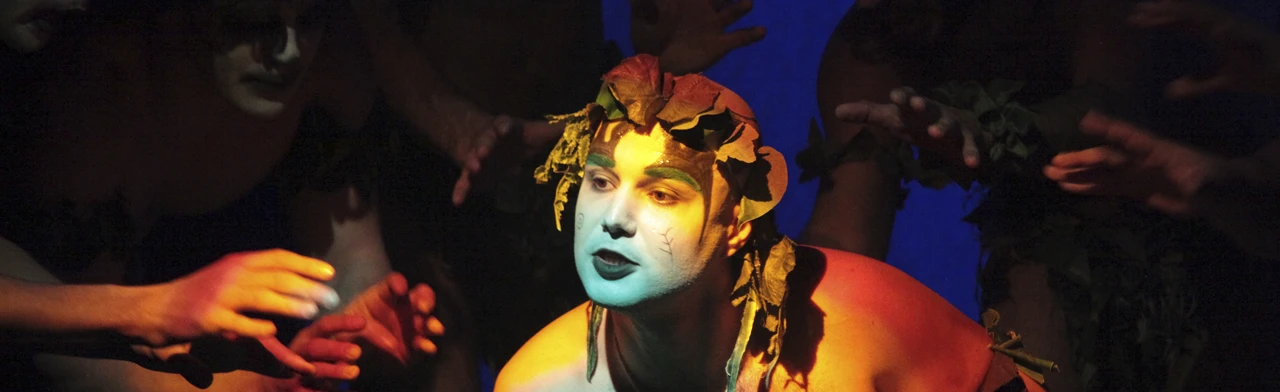 Постер Сон в летнюю ночь в Москве