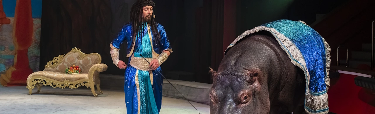 Постер Каникулы Джинна в Москве