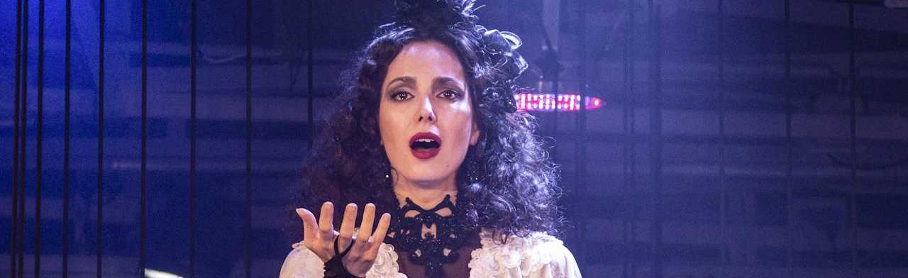 Постер Актриса. История любви