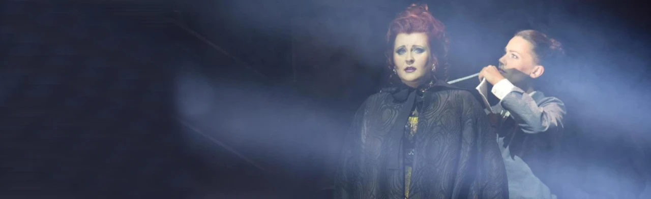 Постер Трубадур