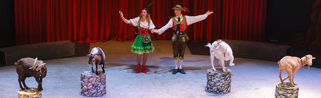 Постер Необыкновенное путешествие