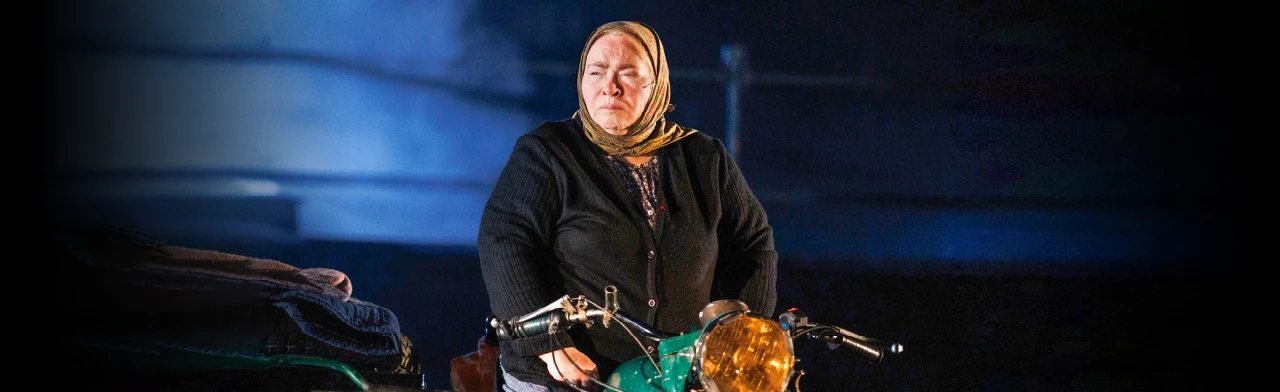 Постер Материнское сердце. Гастроли БДТ им. Г.А. Товстоногова в Москве