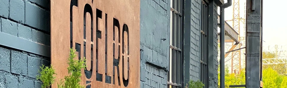 Постер Goelro space