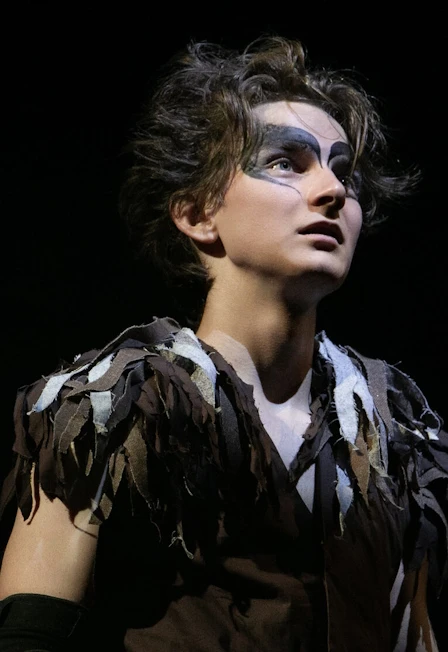 Постер Постойко в Москве