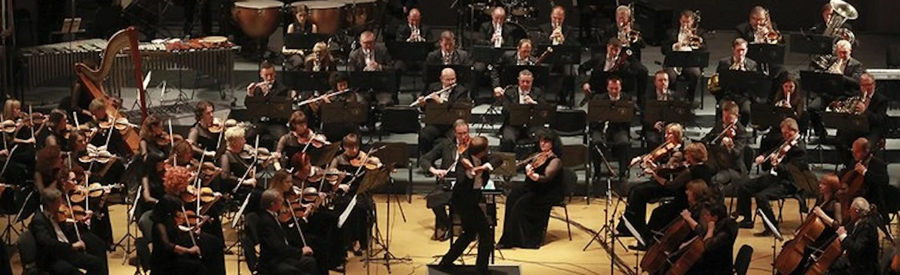 Постер Донецкий академический симфонический оркестр имени Сергея Прокофьева в Москве