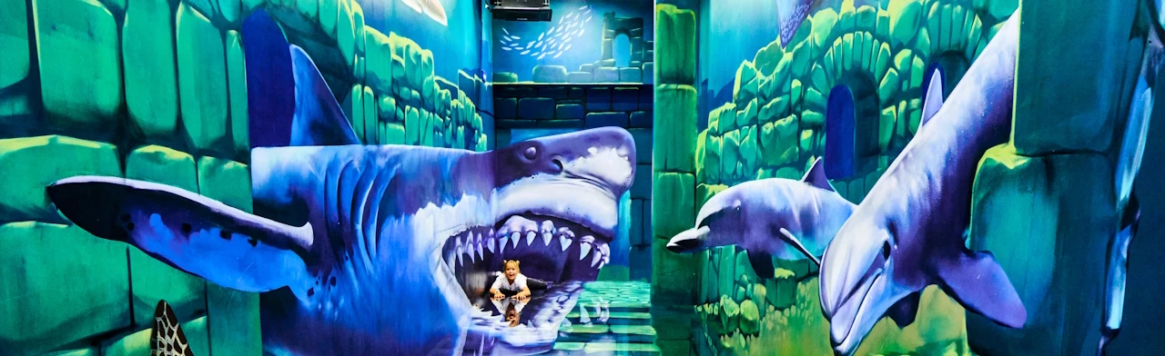 Постер Музей оптических иллюзий