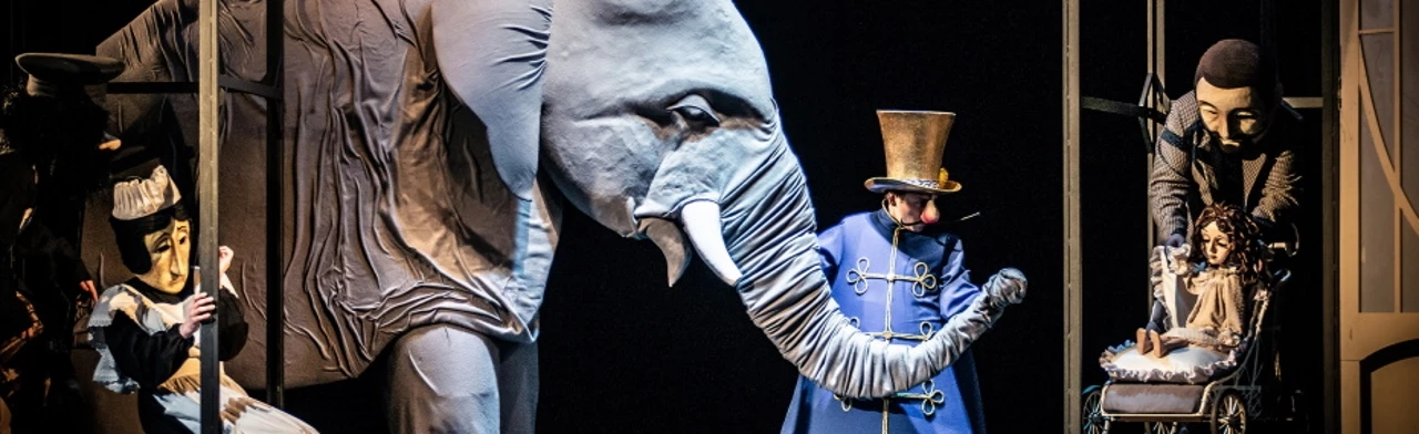 Постер Слон в Москве