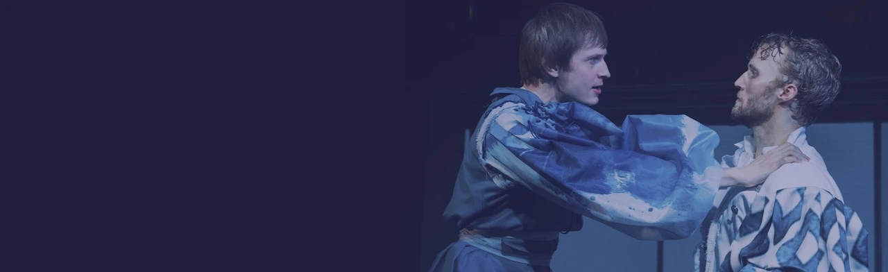 Постер Двенадцатая ночь, или что угодно