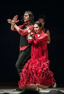 Постер Flamenco Barocco Capriccios в Москве