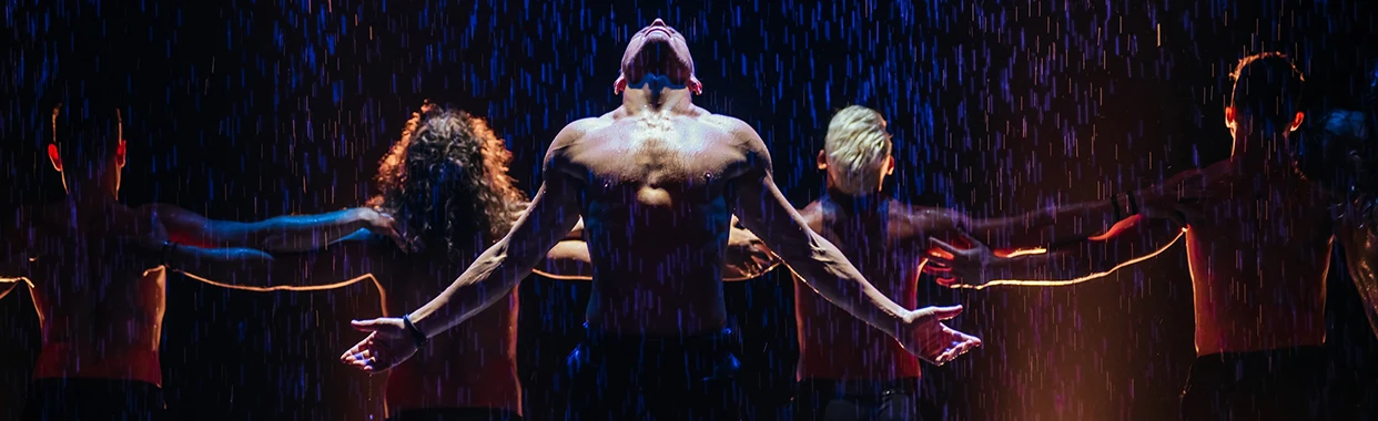 Постер Шоу под дождем