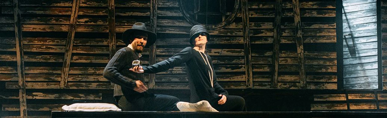 Постер Чайка