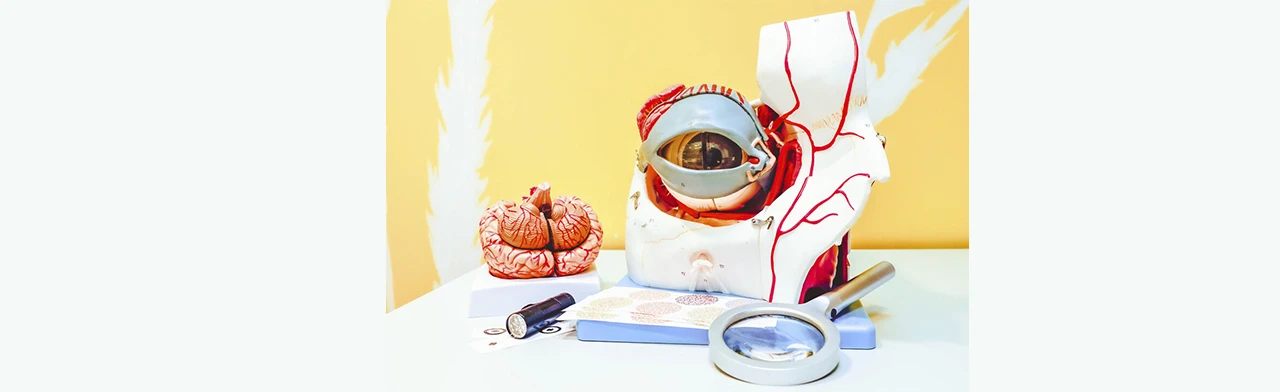 Постер В поле зрения