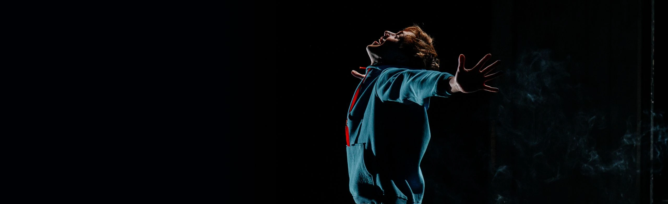 Постер Загадочное ночное убийство собаки