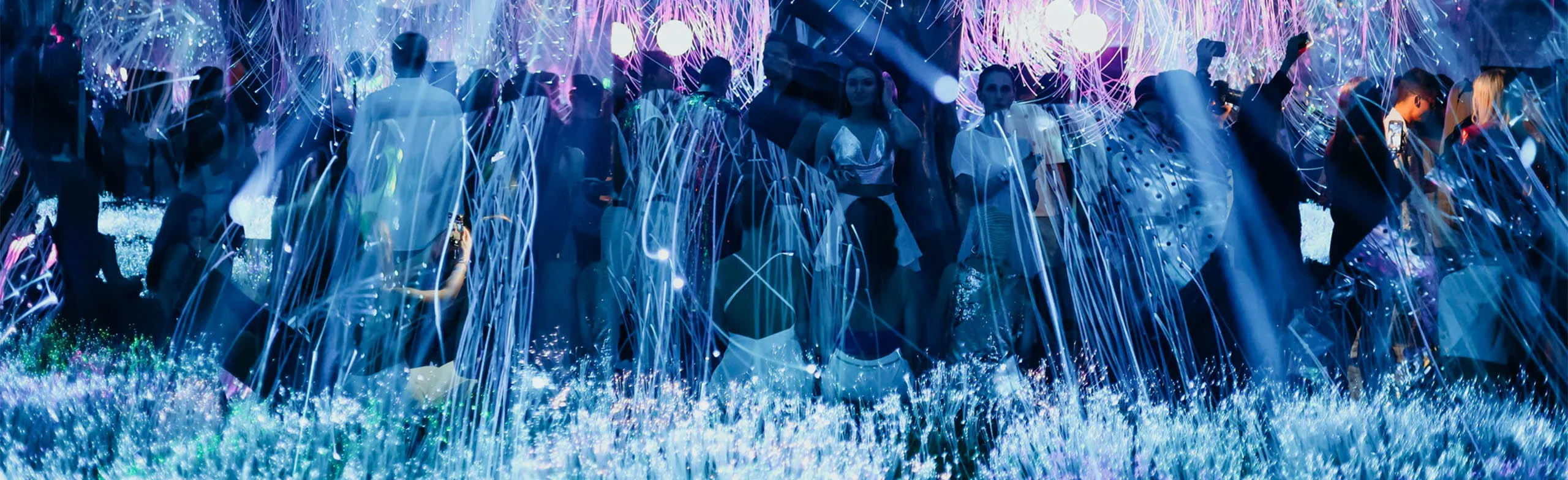 Постер Evolution: Prime Era в Москве