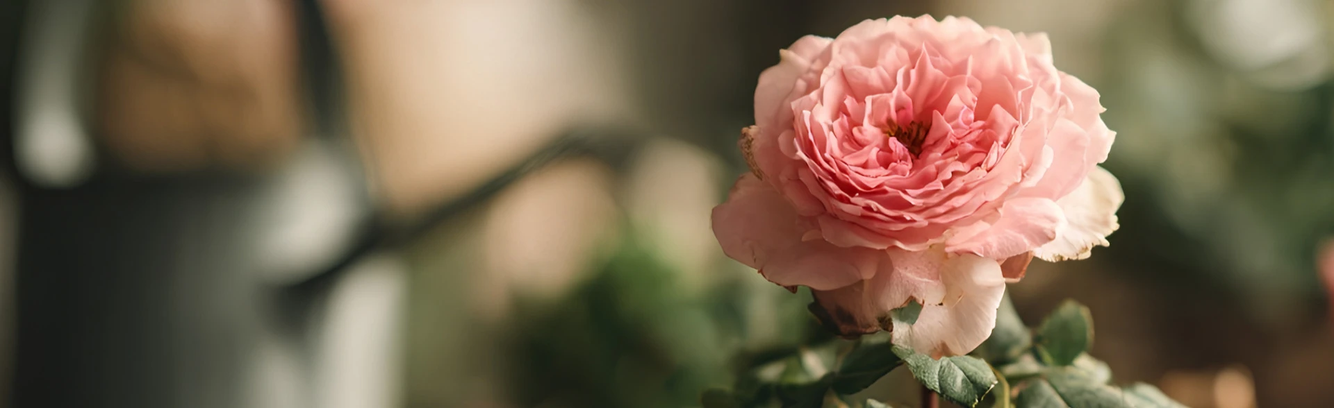 Постер Мастер-класс «Посадка цветов: от идеи до цветущего результата» в Москве