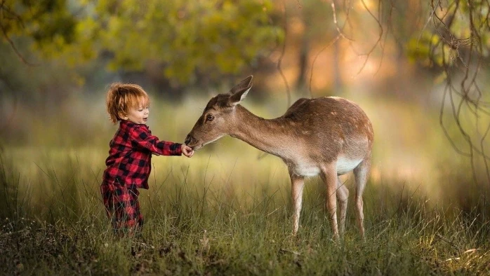 Постер Семейный клуб Бунин ручей