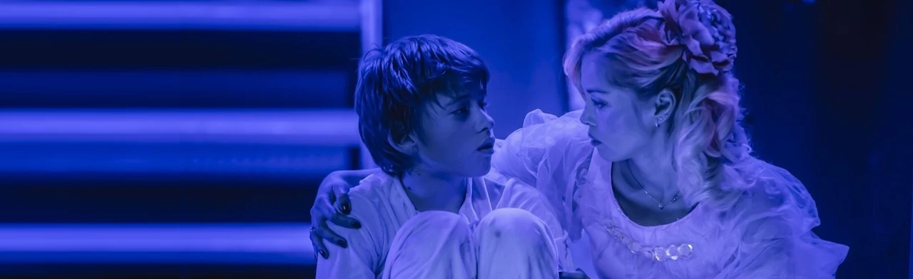 Постер Оскар и розовая дама