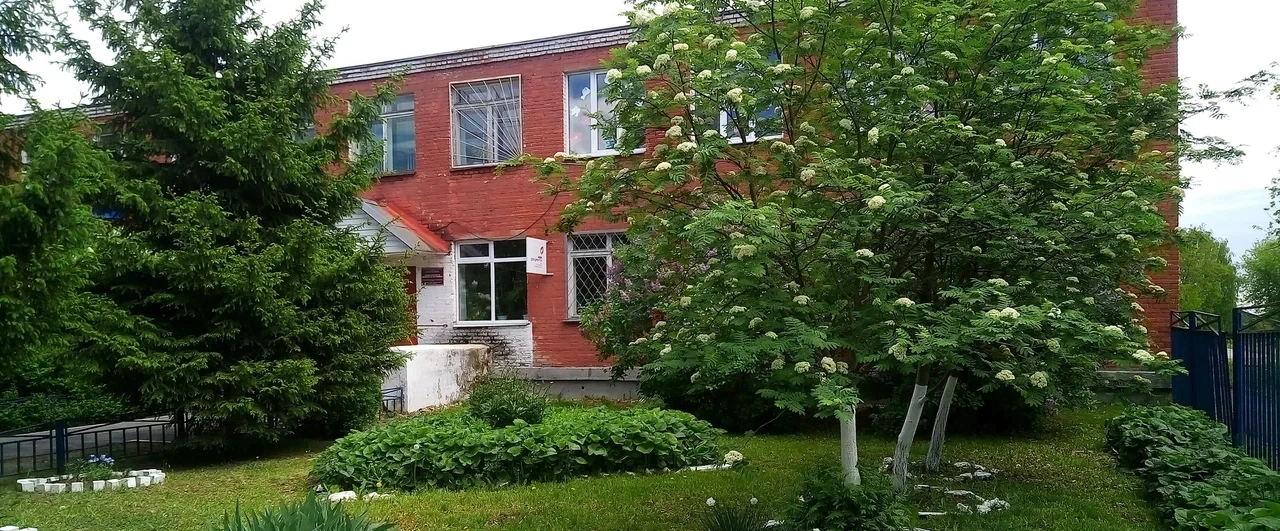 Постер Больше-Алексеевская сельская библиотека №13