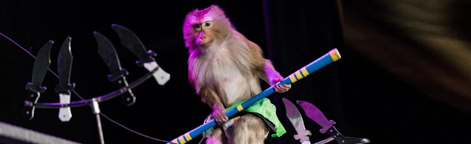 Постер Шоу зверей