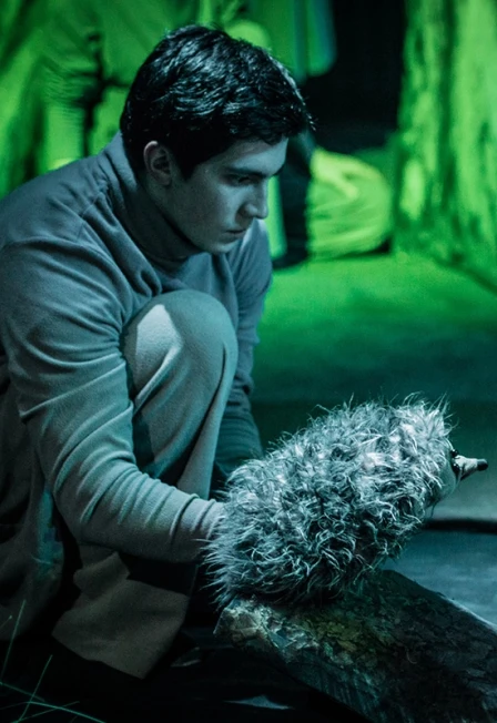 Постер Сказка с закрытыми глазами. Ёжик в тумане в Москве