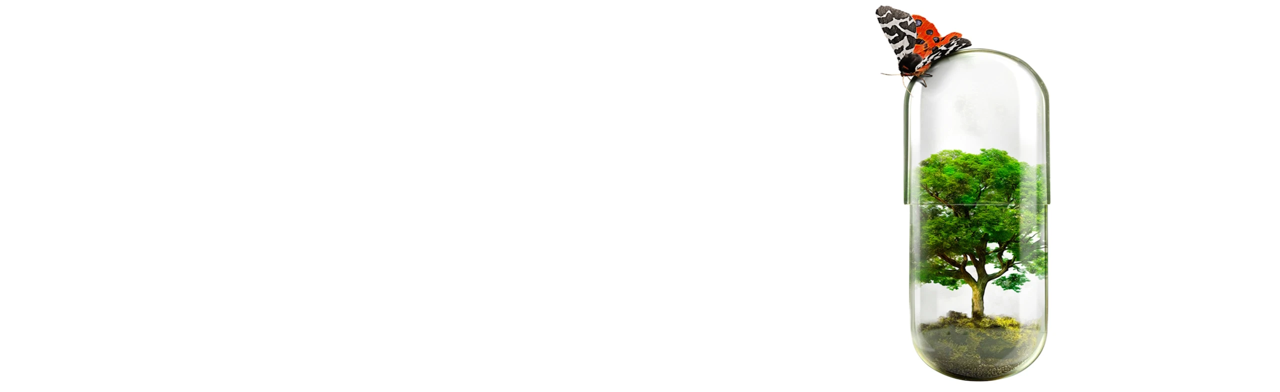 Постер 4 дня в 25 кадре