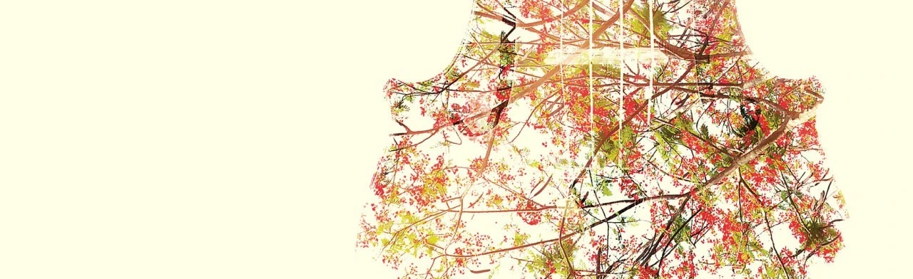 Постер Армянский дудук, орган, саксофон в Москве