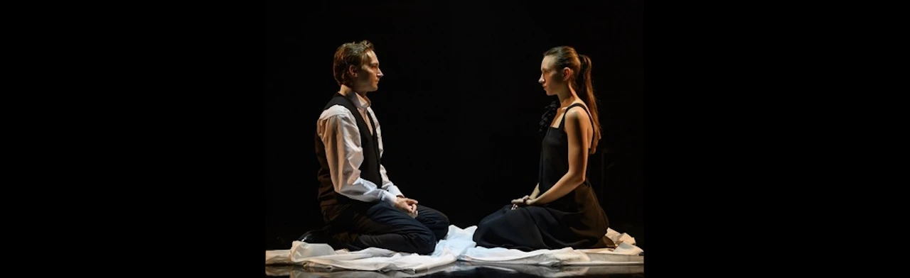 Постер Дамасобачка в Москве