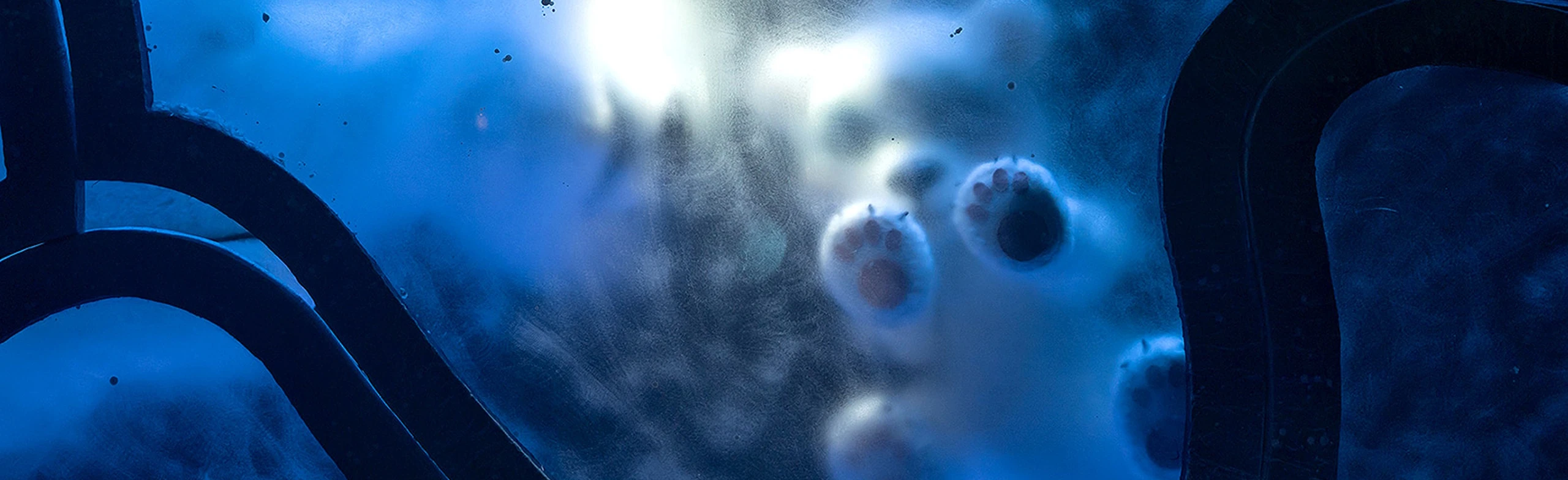 Постер Умка в Москве