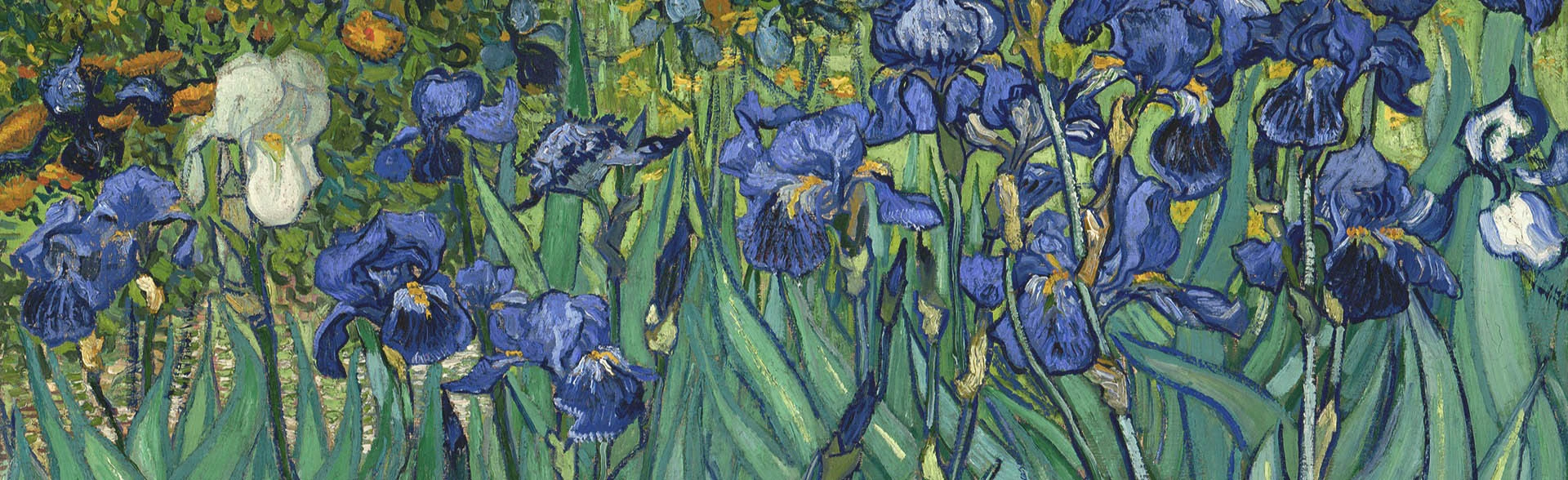 Постер Мастер-класс по живописи «Ирисы Ван Гога» в Москве