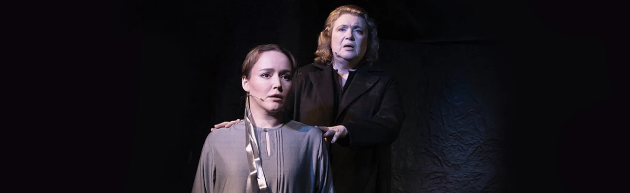 Постер Материнское поле