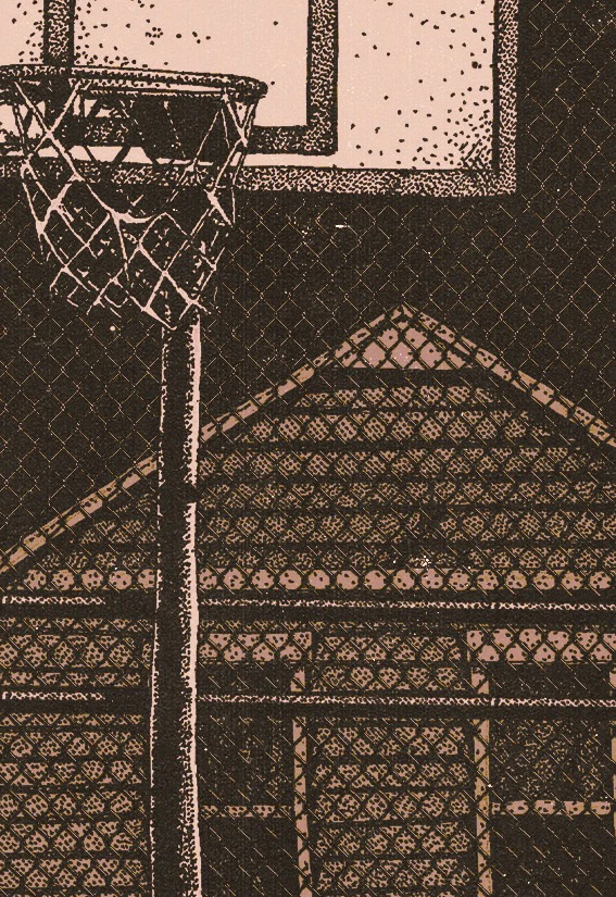 Постер Пекинский Велосипед, Побег, Дорогой Дневник в Москве