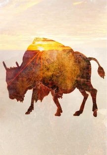 Постер Гранд Каньон в Москве