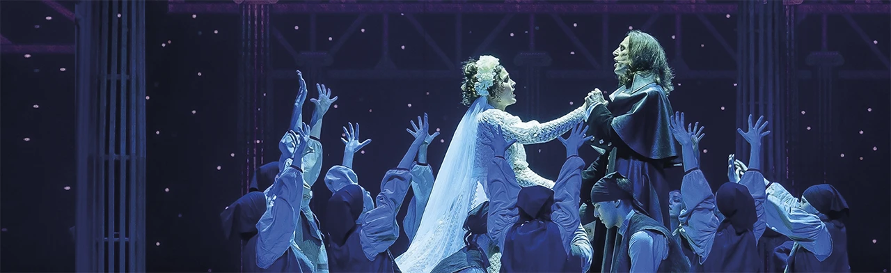 Постер Дубровский