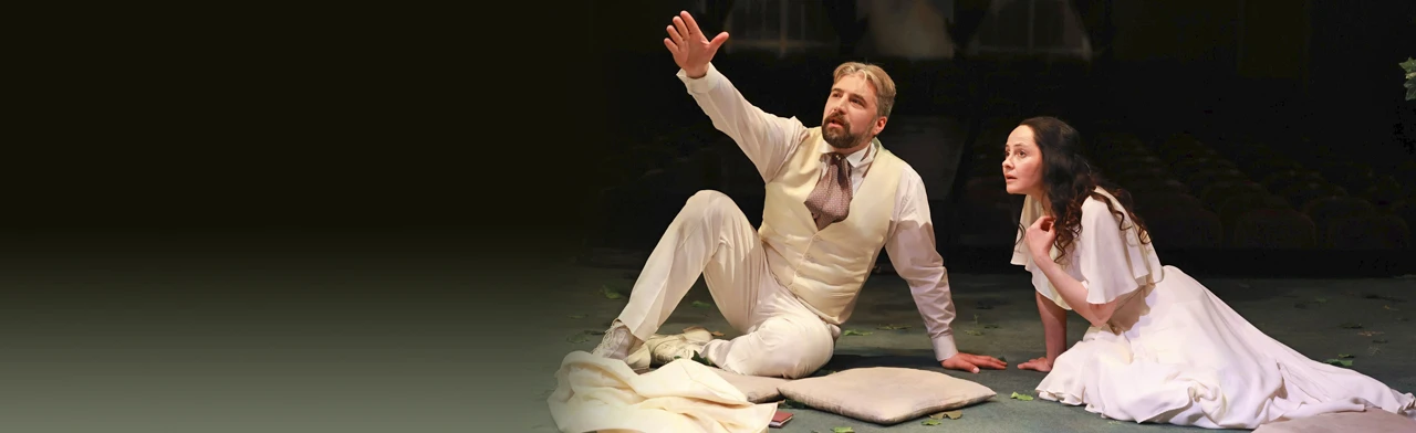 Постер Чайка. в Москве