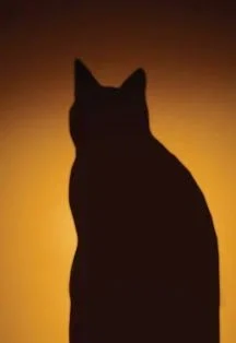 Постер Мастер и Маргарита в Москве