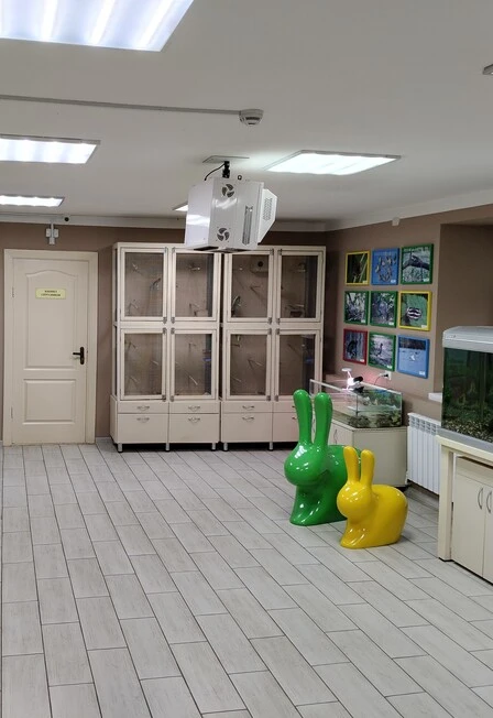 Постер Живой уголок в Музее истории города в Набережных Челнах