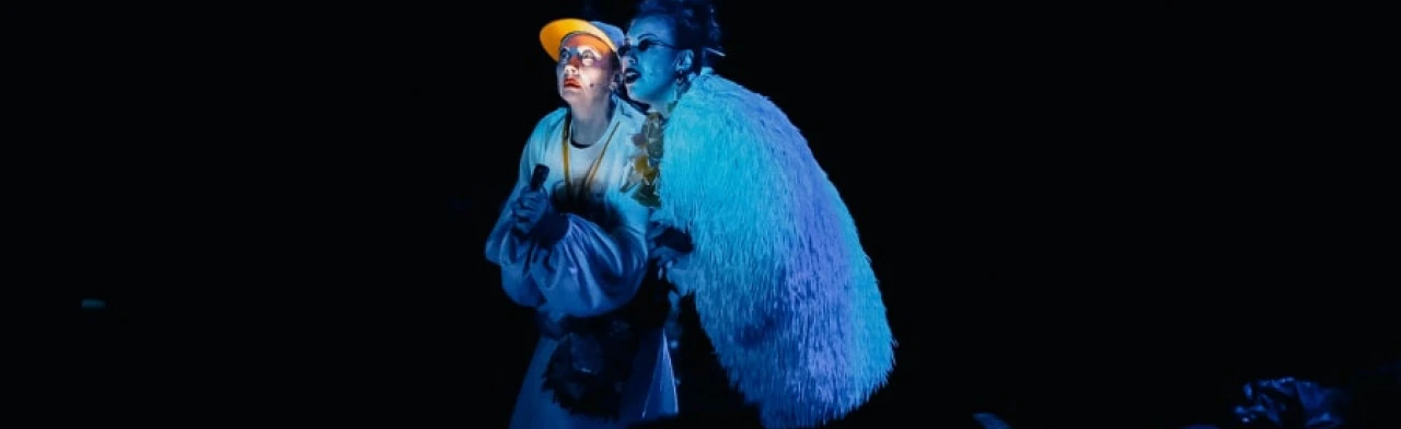 Постер Моя подруга – слепая курица в Омске