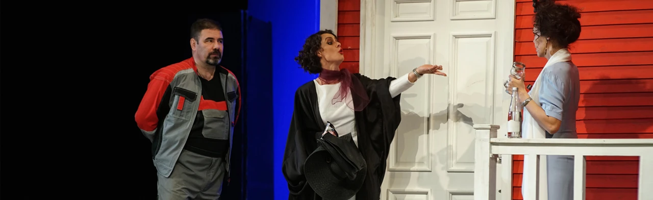 Постер Луненберг в Омске